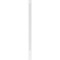 Ekena Millwork Raised Panel PVC Pilaster w/Standard Capital & Base, 6"W x 120"H x 2"P PILP06X120RP01-2 - alternate 3